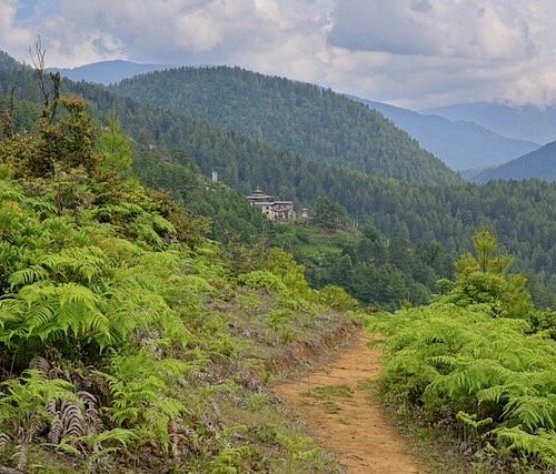 Nature Trails