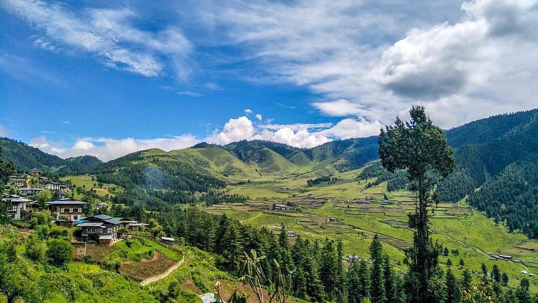 Phobjikha