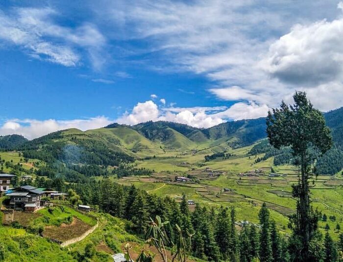 Phobjikha