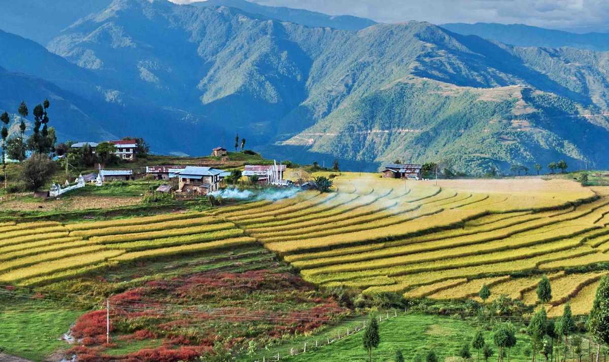 Radhi Village